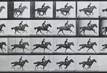 Muybridge & Marey in het Rijksmuseum Muybridge