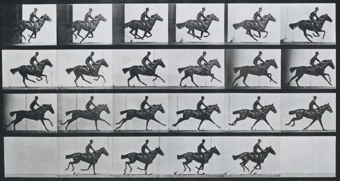 Muybridge