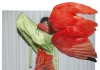 Viviane Sassen – PHOSPHOR: Art & Fashion Viviane Sassen