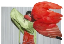 Viviane Sassen – PHOSPHOR: Art & Fashion Viviane Sassen