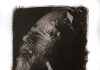 Leica Gallery Amsterdam: SHE, HER, HERS Leica Gallery