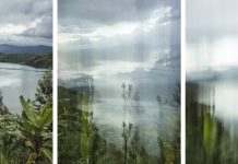 Barry Salzman – How We See The World Barry Salzman