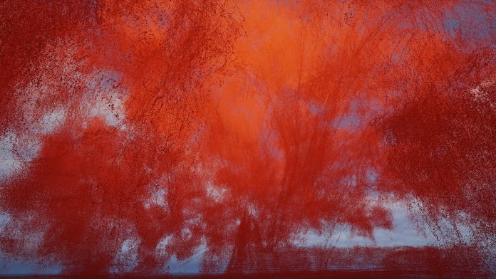 Anton Kusters
