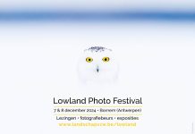 Lowland Photo Festival: 7 & 8 december Lowland Photo Festival
