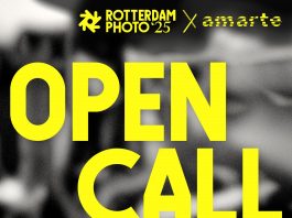 Dutch Talent Project Grants