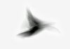 Elliot Ross – Crows Ascending Elliot Ross