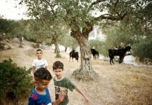 Adam Rouhana – Before Freedom Adam Rouhana