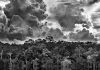 Verwacht: Sebastião Salgado – Amazônia Sebastião Salgado
