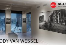 Eddy van Wessel – Shadows of Peace