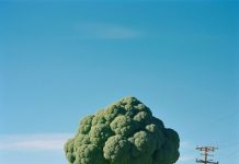 AImagine, fotografie en generatieve beelden Bruce Eesly