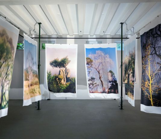 Laatste dagen: Jacquie Maria Wessels – Exploring the fields