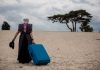Het Wilde Oog: Duurzame Diva’s Het Wilde Oog