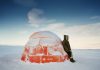 Scarlett Hooft Graafland twee weken langer in Panorama Mesdag Scarlett Hooft Graafland