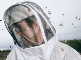 Oog op de natuur
