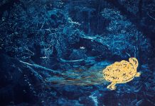 Anaïs López: de Schildpad en de Monnik Anaïs Lopez