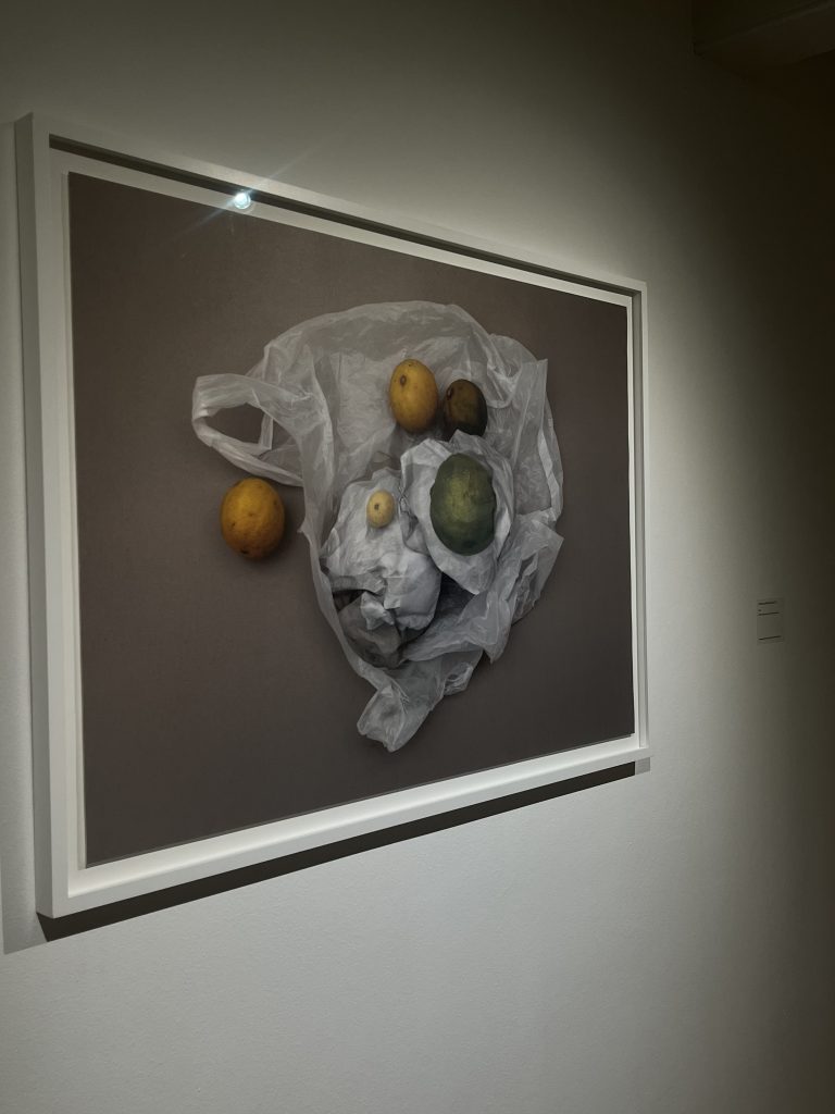 Kunstwerk van Ilona Plaum in Huis Marseille