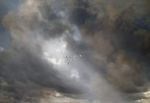 Saskia Boelsums exposeert landschappen op de noordelijke kunstbeurs Kunst aan het Hof Saskia Boelsums fotografie