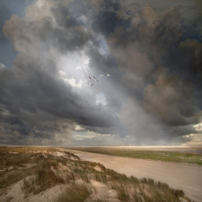 Saskia Boelsums fotografie