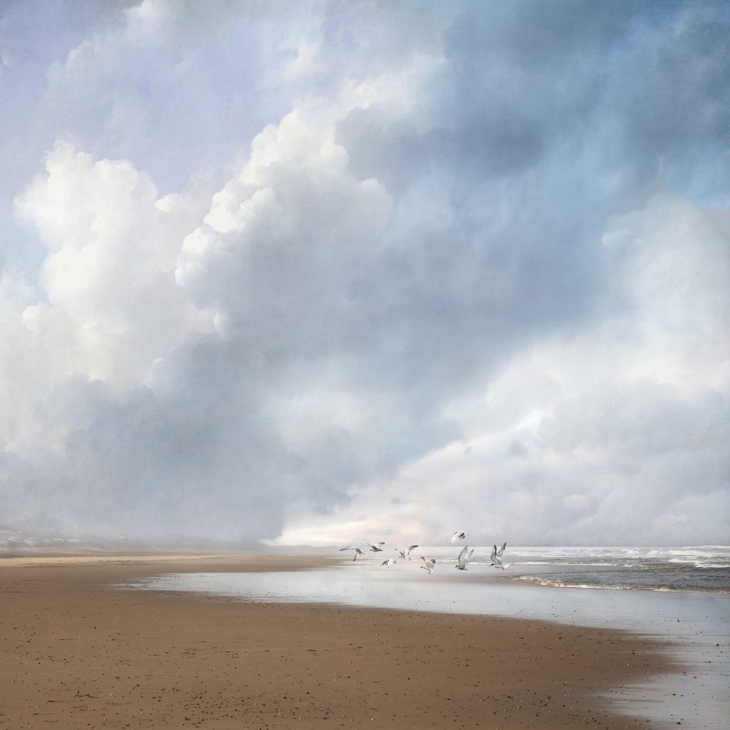 Landscape 298 Saskia Boelsums