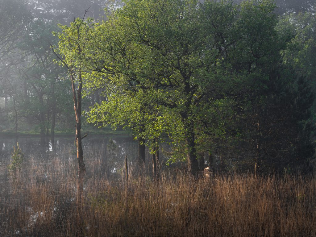 Winnaar natuur serie