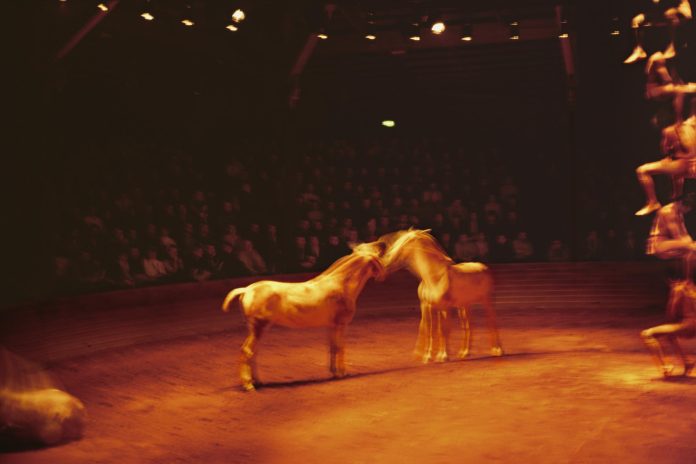 Nan Goldin en Pictures for Purpose