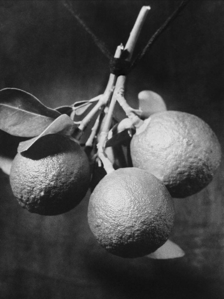 Foam presenteert de eerste overzichtstentoonstelling in Nederland gewijd aan het werk van Augusta Curiel (Suriname, 1873-1937). 