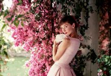 Streets in, Studio’s out! van Norman Parkinson verlengd Norman Parkinson