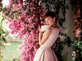 Norman Parkinson