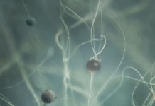 Binnenkort bij EM Gallery: Sense of Hidden EM Gallery
