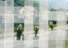 Multimediaal project ‘De 11 stemmen van Srebrenica’ van start