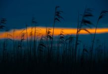 De Lichtzone ZomerSalon Lichtzone