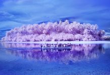 Beurswinnaars beeldprojecten Stichting Oog op de Natuur 2025