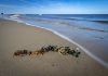 Vuil en vondsten – wat mens en zee achterlaten op het strand Vuil en vondsten