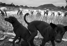John Vink – Sidelines John Vink