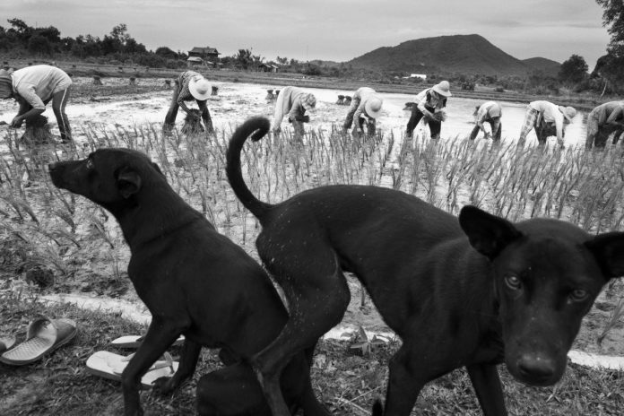 John Vink