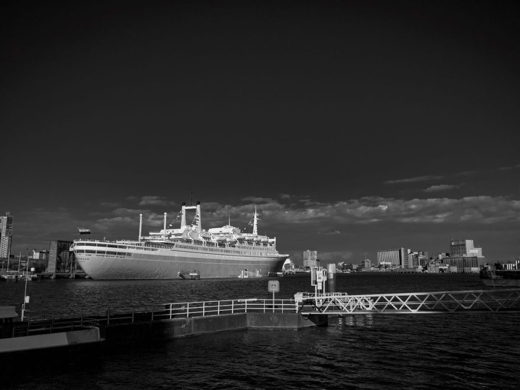 Panasonic G1