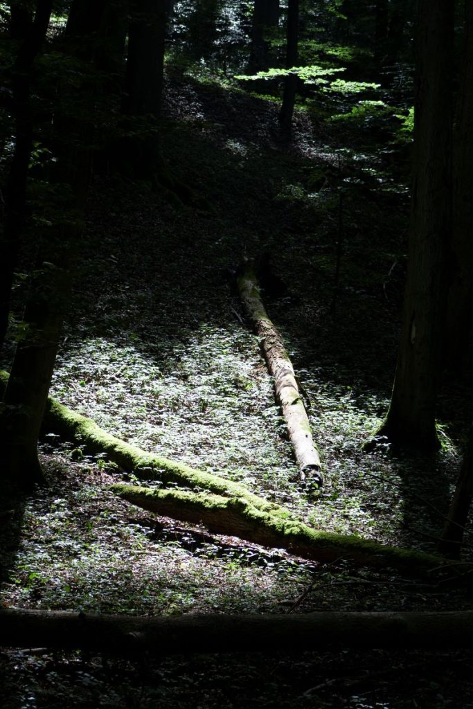 Canon EOS 400D