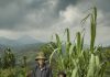 Beeldverhalen over verzoening in Rwanda in Fotomuseum Hilversum Jan Banning