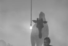 Nick Brandt: The Day May Break Nick Brandt
