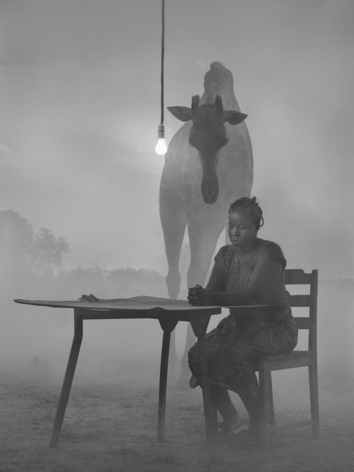Kuda-and-Sky-II,-Zimbabwe-2020 (1) Nick Brandt