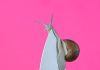 Blommers & Schumm – Mid-Air Blommers & Schumm