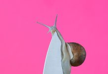 Blommers & Schumm – Mid-Air Blommers & Schumm
