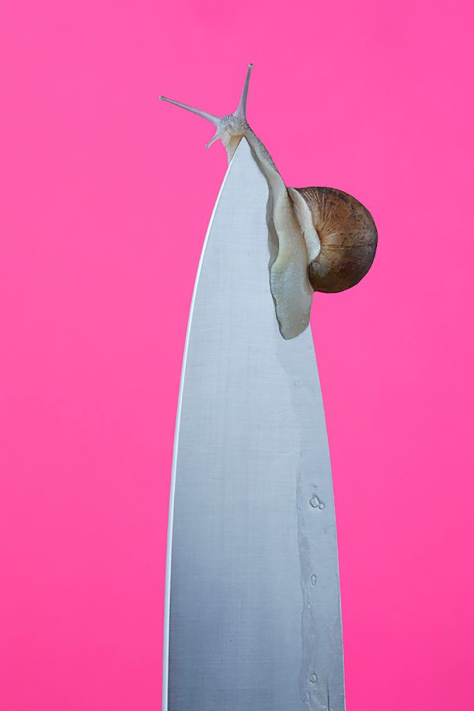 Blommers & Schumm