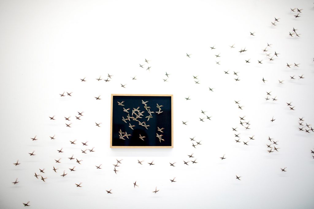 Lana Mesić, Confabulated Migration, 2021-2025