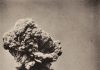 Early Gaze: de ontwikkeling van de Belgische fotografie FOMU