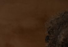 Fotoacademie presenteert eindexamenexpositie LUMEN’25