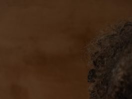 Fotoacademie presenteert eindexamenexpositie LUMEN’25