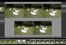 Culling Snel je beste shots selecteren