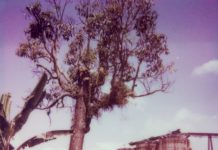 SCHUNCK Museum toont: wolken boven Sawahlunto
