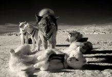 Boek Expeditieberichten met foto’s van Erik Hijweege Expeditieberichten
